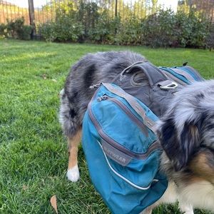 Ruffwear blue Approach dog backpack used a handful of times